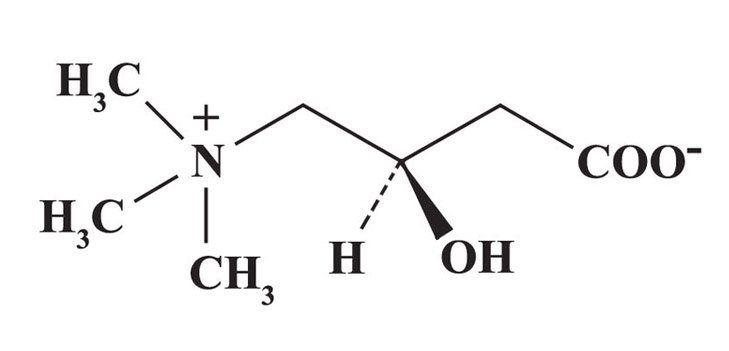 L-Carnitine